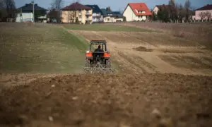 Czerwony traktor pracuje na polu, przygotowując ziemię do nowego sezonu. Odrolnienie działki trwa w najlepsze, a w tle widać domy.