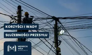 Pracownik przy plątaninie kabli na słupie, nad nim napis "Korzyści i wady służebności przesyłu".