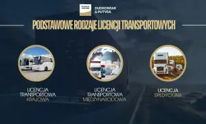 Trzy rodzaje licencji transportowych: krajowa (autobusy), międzynarodowa (ciężarówki i świat) oraz spedycyjna (ciągniki siodłowe).