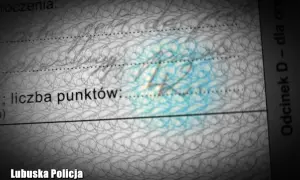 Czy sąd może dać punkty karne? Prawda o roli sądu i Twoich punktach