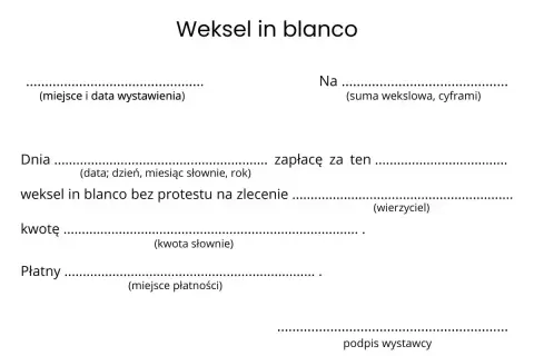 Formularz weksla in blanco do wypełnienia. Zawiera pola na miejsce i datę wystawienia, sumę wekslową, datę, kwotę słownie, miejsce płatności oraz podpis wystawcy.
