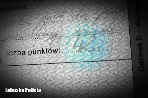 Czy sąd może dać punkty karne? Prawda o roli sądu i Twoich punktach