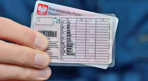 Polskie prawo jazdy z kategoriami pojazdów. W przypadku naruszenia przepisów, może grozić zakaz prowadzenia pojazdów.