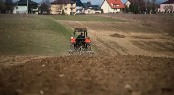 Czerwony traktor pracuje na polu, przygotowując ziemię do nowego sezonu. Odrolnienie działki trwa w najlepsze, a w tle widać domy.
