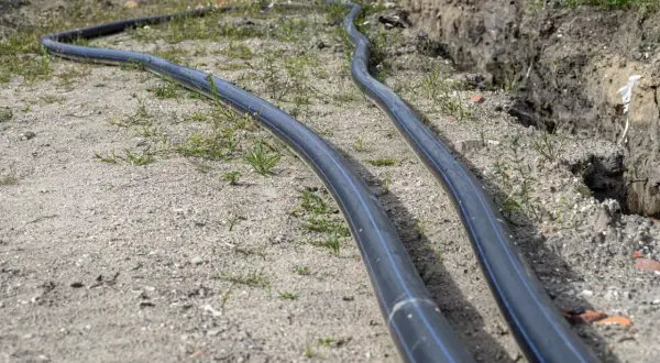 Wniosek ARiMR W-1/04: Jak uzyskać numer producenta i dopłaty?