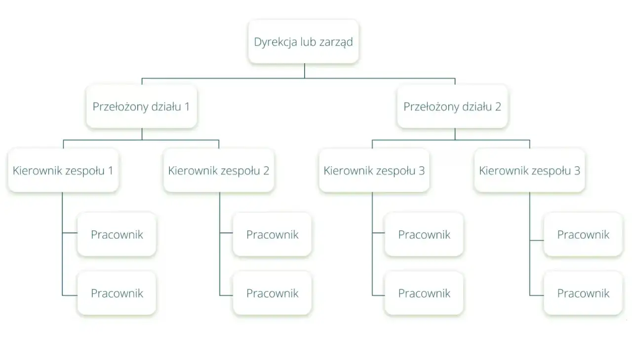 Schemat organizacyjny spółki z ograniczoną odpowiedzialnością: Dyrekcja, Przełożeni działów, Kierownicy zespołów i Pracownicy.