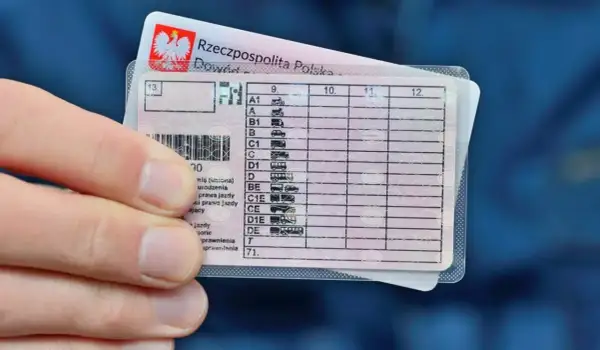 Polskie prawo jazdy z kategoriami pojazdów. W przypadku naruszenia przepisów, może grozić zakaz prowadzenia pojazdów.